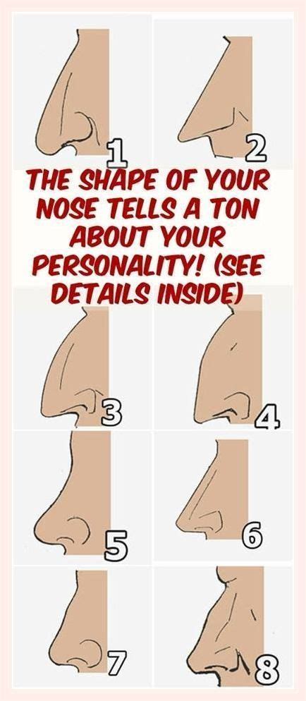 Your Nose Shape Tells A Ton About Your Personality Nose Shapes Nose