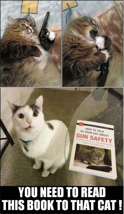 Gun Safety For Cats Imgflip