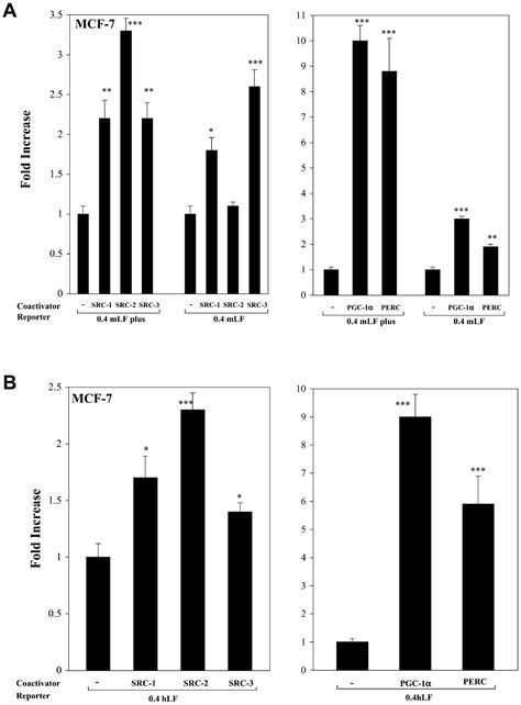 Estrogen Response Element And The Promoter Context Of The Human And