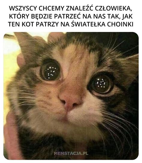 Dlaczego Memstacja Pl