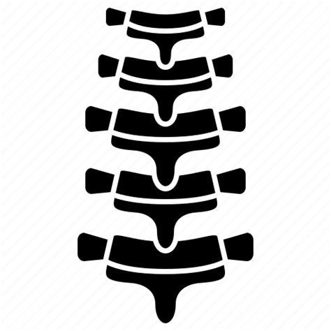 Anatomy Backbone Orthopedic Skeleton Spine Icon