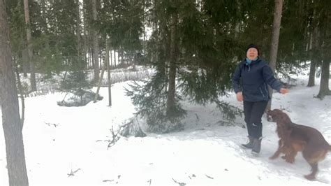 Yle Uutiset Pohjanmaa Yle Uutiset Pohjanmaa Yle Areena