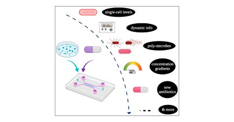 Microfluidic Technology For Antibacterial Resistance Study And