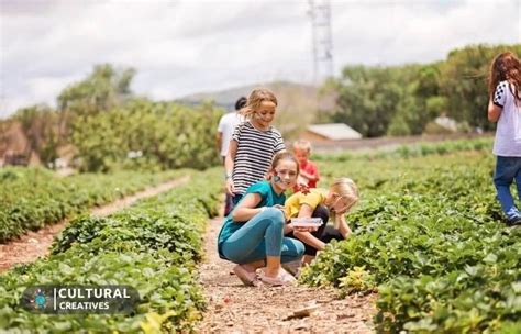 Aningalan Strawberry Farm A Berry Lovers Paradise