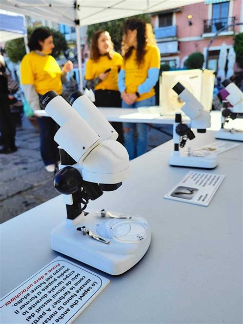 Procida Esperimenti E Workshop Con Il Festival Delle Scienze La