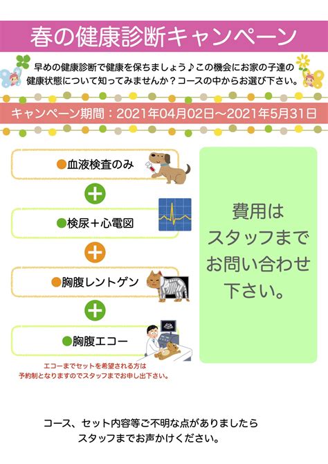 2021年春の健康診断キャンペーン！ かわにし動物病院