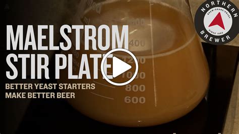 How To Make A Yeast Starter