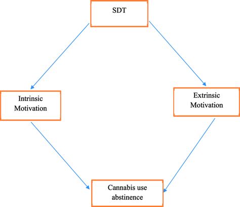 Conceptual framework of the self determination theory | Download ...