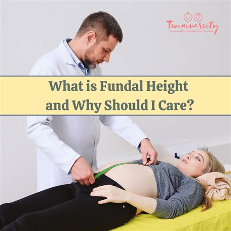 Fundal Height Twins Chart