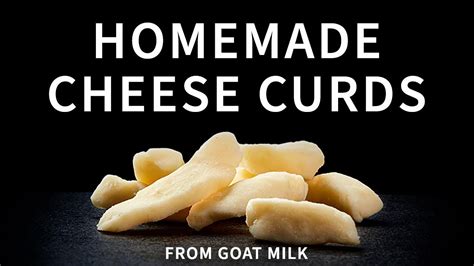 Homemade Cheese Curds From Goat Milk How To Make Goat Milk Cheese Curds Goat Milk Cheese