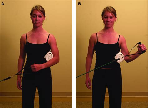 Rotator Cuff External Rotation Muscle