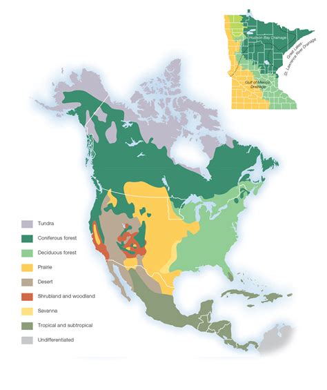 Biomes Of North America Worksheet