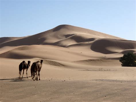 La Scoperta Di Antiche Dune Stellari Rivela Un Mistero Vecchio Di