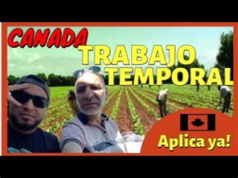 Trabajar Temporalmente En Canad Youtube