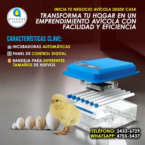 Incubadora De 36 Huevos De Rodillos Avicase