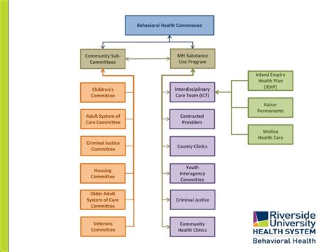 Ppt Creating An Enhanced Service System Through Dmc Ods Riverside County Powerpoint