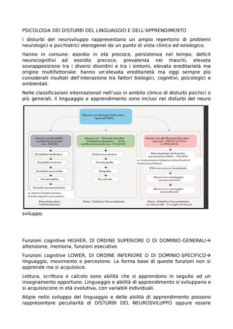 Appunti Corso di Neuropsicologia dell età evolutiva PSICOLOGIA DEI