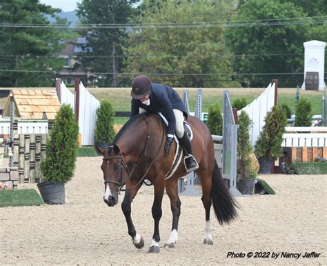 You Are Being Watched Nancy Jaffer Equestrian Sports