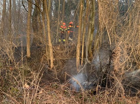 Incendio Boschivo A Colverde Fiamme A Pochi Metri Dalla Garibaldina