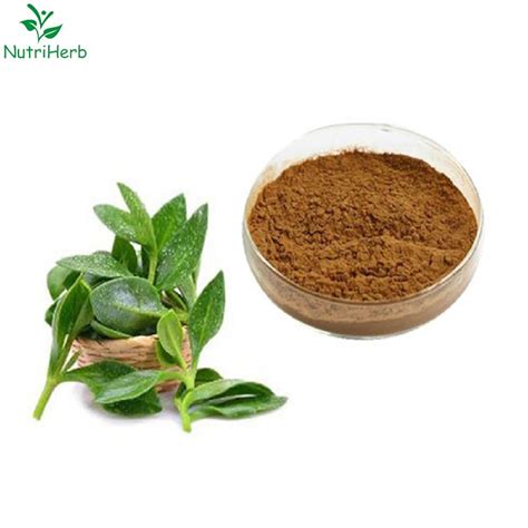 Natural Andrographis Paniculata Extract Andrographolide