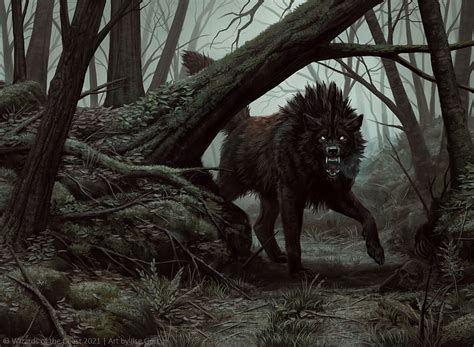 Snarling wolf, halloween, ilse gort, fantasy, art, werewolf, forest ...