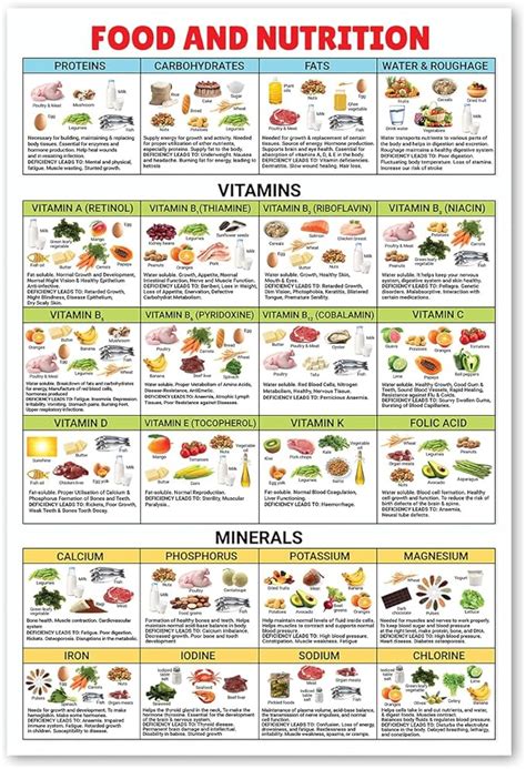 16x24 Vitamin Chart Poster Large Unframed Dietitian