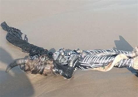 Brujer A Esta Es La Extra A Figura Hallada En Playa De Coatzacoalcos