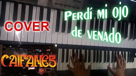 PERDÍ MI OJO DE VENADO CAIFANES TECLADO COVER ROCK EN TU IDIOMA