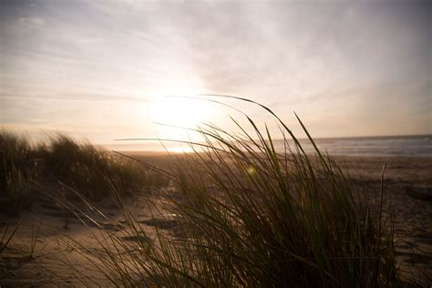 Free Images Beach Landscape Sea Coast Nature Sand Ocean