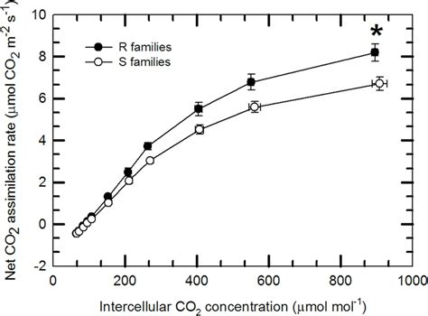 Response Of Net Co Assimilation Rate To Intercellular Co