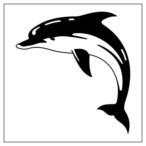 Free Black And White Dolphin Pictures Download Free Black And White