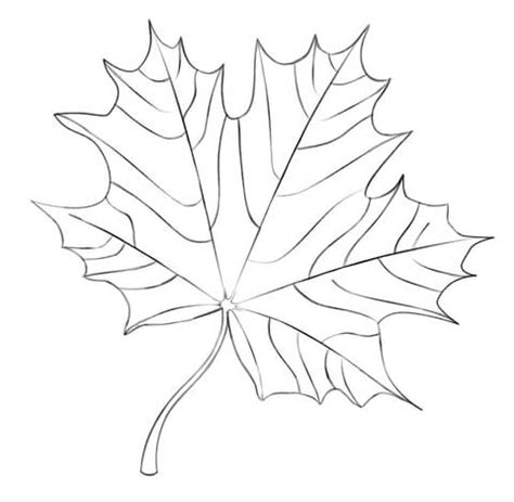 Coloriage Feuille D Rable Coloriages Imprimer Gratuits