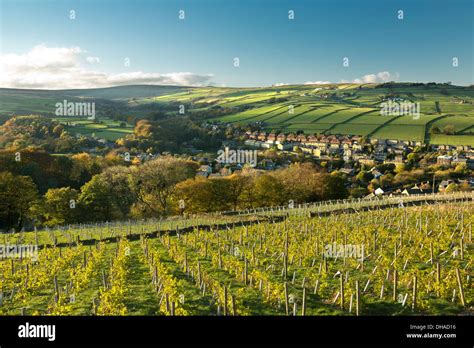 Holmfirth vineyard and restaurant hi-res stock photography and images ...