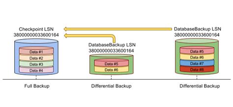 Log Sequence Number Sql Server Backup Academy