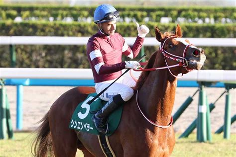 凱旋門賞馬の全弟シンエンペラーはムルザバエフ騎手と新コンビでホープフルsへ｜競馬ニュース｜競馬予想のウマニティ