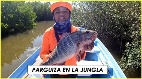 PESCA DE PARGOS CON CAMARÓN VIVO YouTube