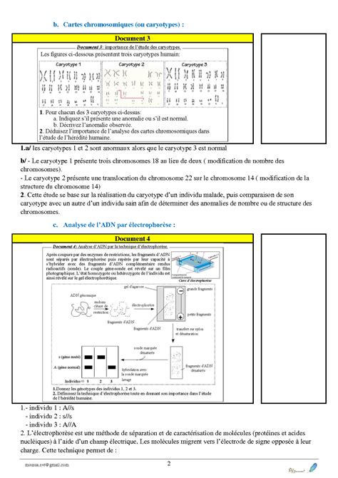 SOLUTION Cours De G N Tique Humaine Studypool