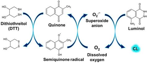 Sensors Free Full Text Biotinylated Quinone As A Chemiluminescence