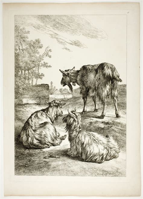 Plate Eighteen Of 38 From Oeuvres De J B Huet