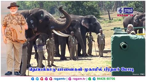 BREAKING PM Modi Visits Elephant Camp In Mudumalai Tiger Reserve