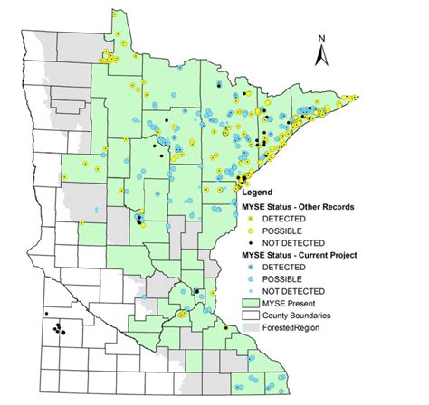 Northern Long Eared Bats In Minnesota Declared Endangered