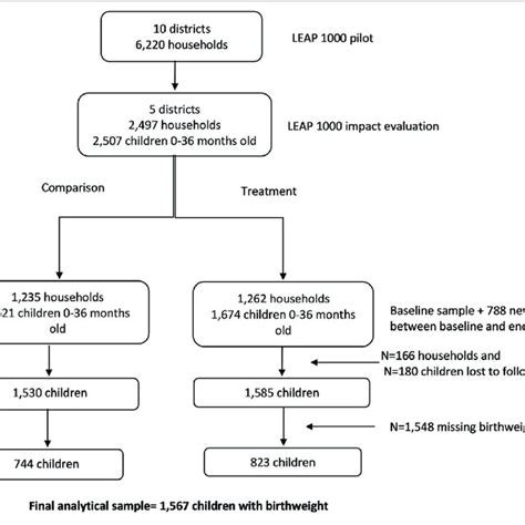 Consort Diagram For Leap Impact Evaluation On Birthweight