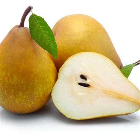 Stream Anal Trampoline Party Gruszki Kurva by André Six thSenseSound Listen online for