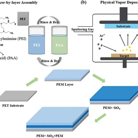 Schematic Of A Layerbylayer Assembly Of The Polyelectrolyte