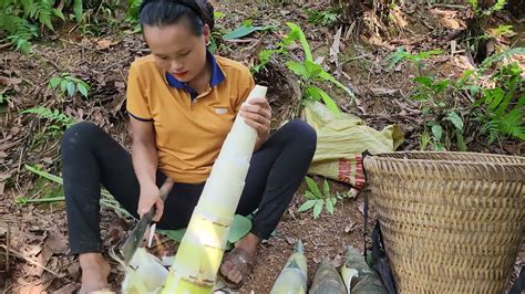 Harvest Bamboo Shoots Make Sour Bamboo Shoots And Bring Them To The Market To Sell Lý Thị Fa