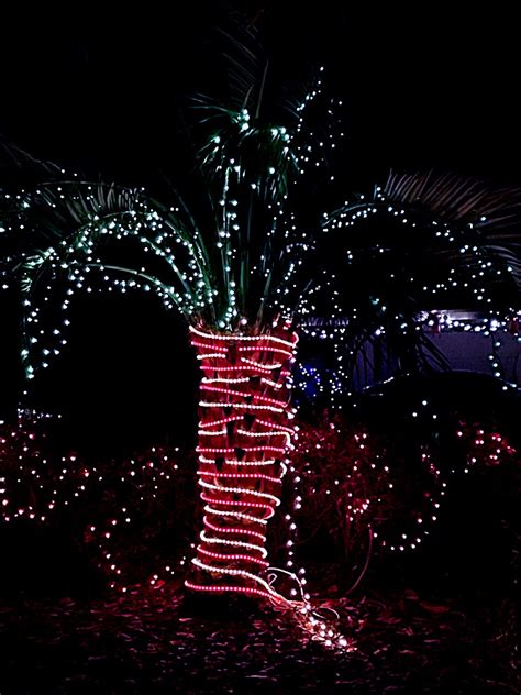 Hilton Head Island Christmas Lights By Timothydmorton Ephotozine