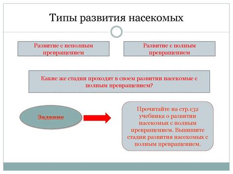 Цикл развития кузнечика - презентация онлайн
