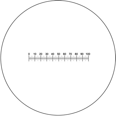 Kit de acessórios para microscópio micrómetro ocular X régua de