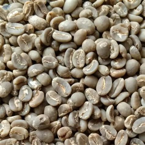 Aceh Gayo Arabica Green Bean Inaexport