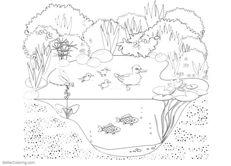 Pond Life Coloring Pages Animals And Plants Free Printable Coloring Pages